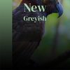 New Greyish - Jord Beri