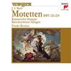 II. Es ist nun nichts Verdammliches - Frieder Bernius&Kammerchor Stuttgart&Barockorchester Stuttgart&Johann Sebastian Bach&Markus Brutscher&Martin van der Zeyst&Andrea Egeler&Inga Fischer&Thomas Herberich