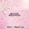 Suaves Palabras(feat. Shanik Aspe) (Radio Mix) - BSNO&Shanik Aspe