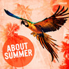 Summer Night (Extended Mix) - Deals in The Dark