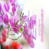 淡烟疏柳媚晴滩 - 林佩娟&罗启瑞&彭美君&王怡人&萧钟淇&周淑芬&蔡志展