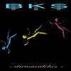 Five Hours from... (Acen & The House Crew Long Journey Mix) - BKS&Acen&The House Crew&Chris Sheppard&Greg Kavanagh&Hennie Bekker