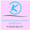 Acid Sun - Stefano Malleani&DJ Bismark