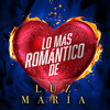 Mi Fracaso - Luz María