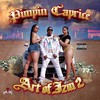 On The Case (Explicit) - Pimpin Caprice&Ralo Tha Pimp