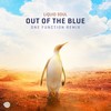 Out of the Blue (One Function Remix) - Liquid Soul