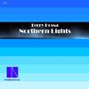 Northern Lights (Original Mix) - Terry Hossa