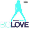 Big Love (Kid Massive Remix) - Suzanne Palmer