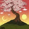 Sakura - Joncro