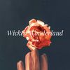 Wicked Wonderland (0.8X版) - DJ阿智