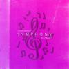Symphony (Big Z Remix) - BIG Z&Clean Bandit&Zara Larsson
