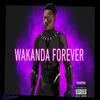 Wakanda Forever!!! (Explicit) - ThatBoyKu&Sheku Turbe