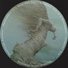 Poly Dub Fuk - Pointless Animals