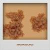Barbarous Summery - Noria Yean