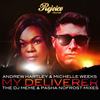 My Deliverer (The DJ Meme Soulful Disco Extravaganza Remix) - Andrew Hartley&Michelle Weeks