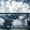 Transparent Force (Extended Remix) - Radik