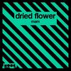 Mam - Dried Flower