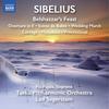 Act II: Den judiska flickans sang (Vid alvarna i Babylon) (The Song of the Jewish Girl) - Pia Pajala&Turku Philharmonic Orchestra&Leif Segerstam