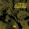 The Gallant Hussar - Ashley Hutchings