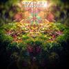 Temple of Chi - Hivetribe&Tineidae