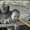 On the Runfeat. Henry Rollins - The Flaming Lips