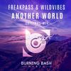 Another World (Original Mix) - FREAKPASS&WildVibes