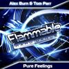 Pure Feelings (Original Mix) - Alex Burn&Tom Parr