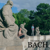 BACH (Explicit) - Eraspe&GSP