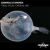 Tribal  Room (Original Mix) - Gabriele D'Andrea