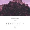Syntetisk - Leonardo Li Greci&Lexce