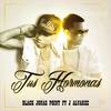 Tus Hormonas - Black Jonas Point&J Alvarez