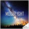 Moonlight (Original Mix) - PRIMAXS