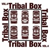 Crisalis (Tribal Mix) - Cool Brothers