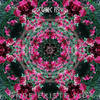 Onde Existe Vida - Organic Flow