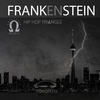What Does It All Mean (Instrumental) - Frankenstein