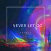 Never Let Go - Spooly