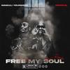 FREE MY SOUL(feat. Medikal) (Remix|Explicit) - Mawuli Younggod&Medikal