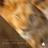 Drums Of Africa (Original Mix) - Camblom Subaria
