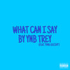 What Can I Say (Explicit) - YNB Trey&YVNG GEESHY