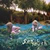 Sympathy For The Strawberry (Album Version) - Sonic Youth