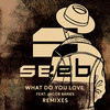 What Do You Love (SJUR Remix) - Seeb&Jacob Banks