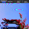 Offline - Friendly Fires&Friend Within