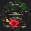 Cajita De Sorpresas - Voraz