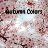 Autumn colors - Looka