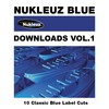 The Vision (Bk & Nick Sentience Remix) - Dj Arabesque&Mario Piu'&BK&Nick Sentience