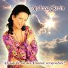 Ich hab dir nie den Himmel versprochen - Andrea Stein