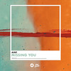 Missing You (Extended Mix) - Aint