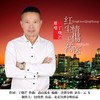 红尘情伤无药医 (DJ版) - 丁晓芒