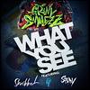 What You See(feat. Stray & Skribbal) (Explicit) - Grim Smilezz&Stray&Skribbal