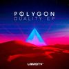 Contradiction - Polygon